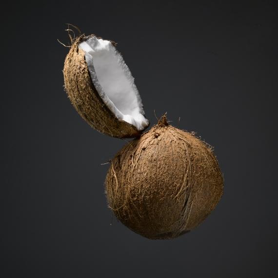 kokosove vlakno